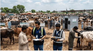 PCMMDC Jobs 2026 